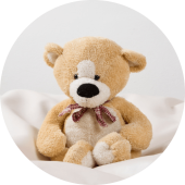 teddy.png